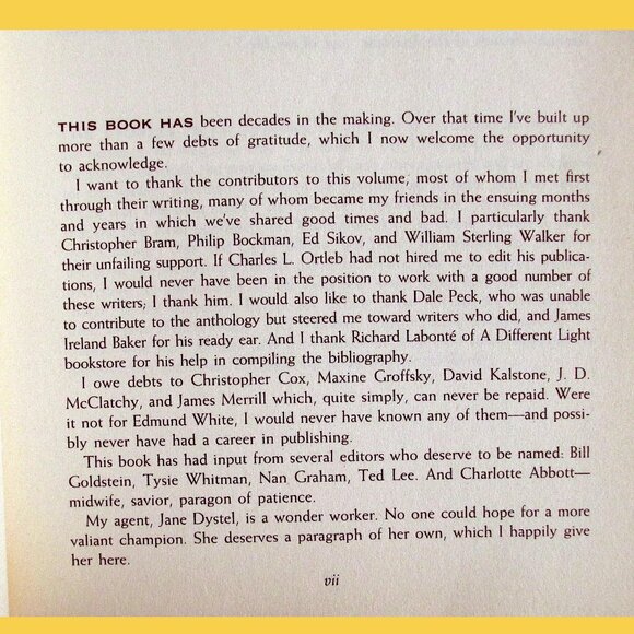 Book - Boys Like Us: Gay Writers Tell Their Coming Out Stories, ed Patrick Merla - Picture 10 of 15